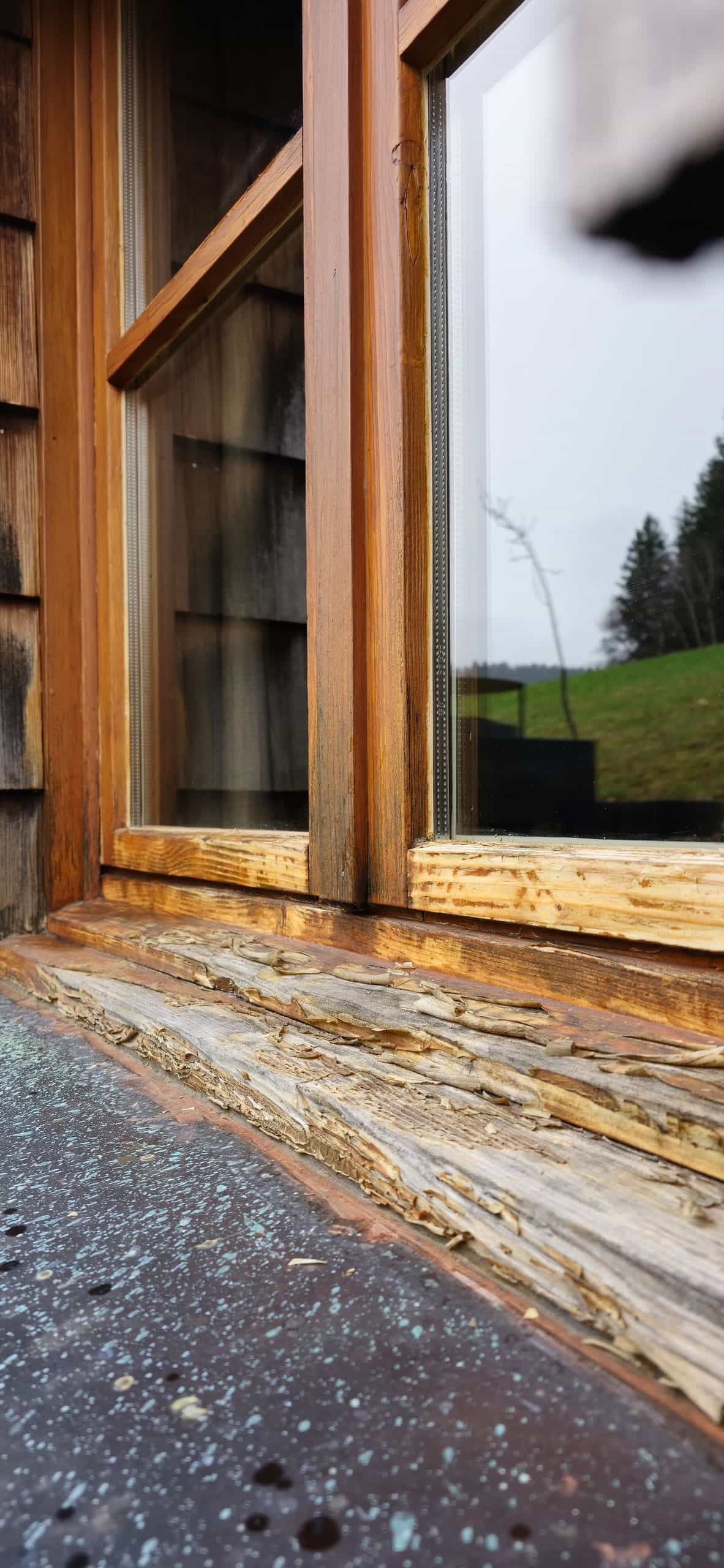 Wohlfink Projekt Blockhaus